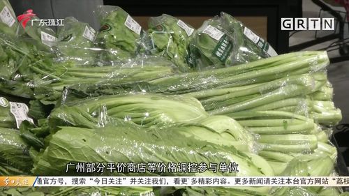 廣州節(jié)前農副產品價格調控 平價商店菜價低15