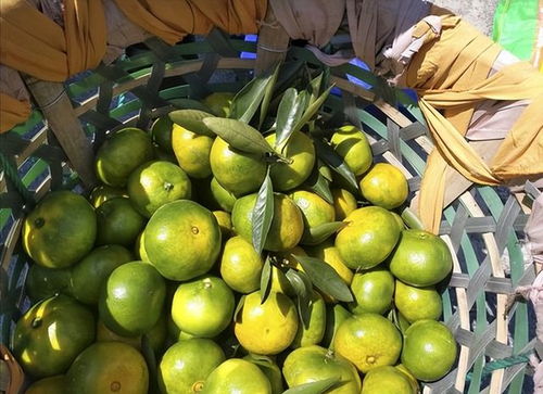 菜鳥驛站為什么那么多轉讓的 一個菜鳥驛站一年能賺多少錢